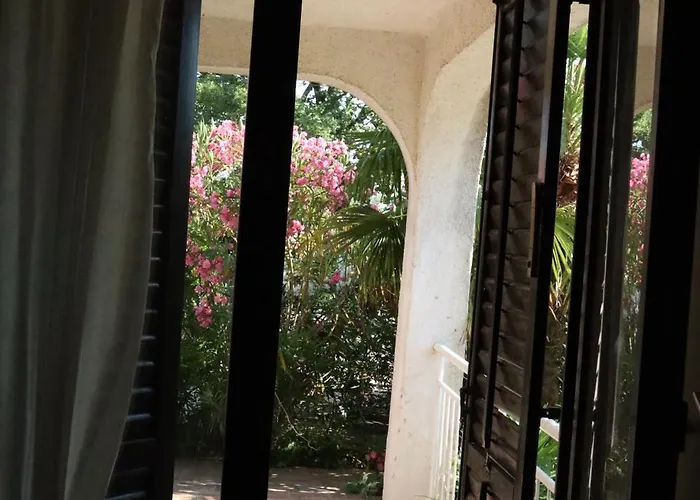 Miracoloso Vantacici