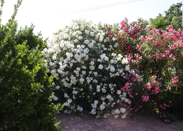 Appartement Miracoloso *