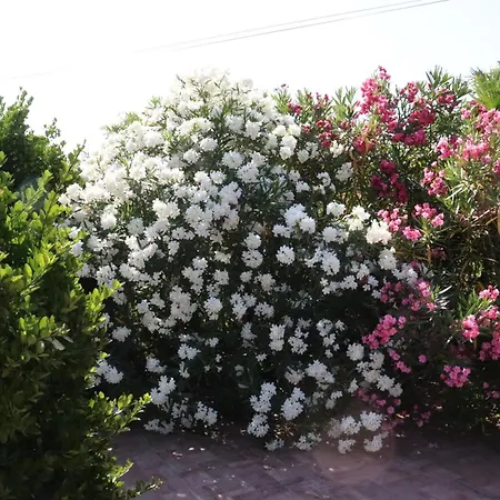 Appartement Miracoloso *