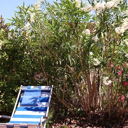 Miracoloso Vantacici