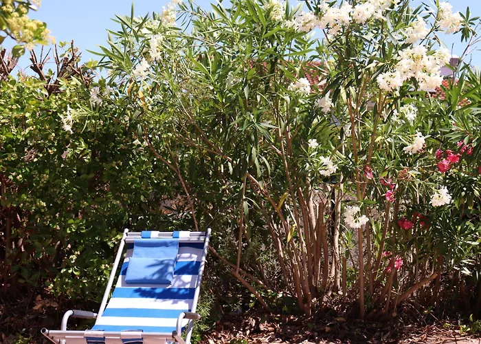 Miracoloso Vantacici